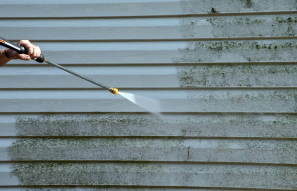 Best Driveway Pressure Washing  in Moonachie, NJ